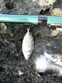 Лимассол, штиль, отстрел воблера и прогулка по точкам — единичные выходы