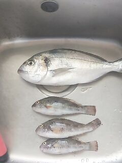 Айя-Напа, ориентир на деревянный мостик и результат на креветку днём