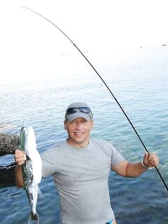 «Баллон» с железными зубами: металлический поводок спасает, иначе срезы