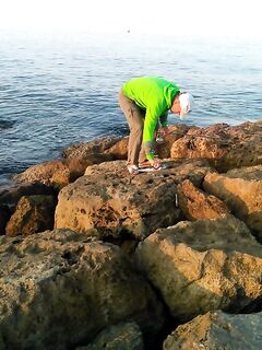 Штиль, сарган и «баллон» — наблюдения по ветру и активизации у берега