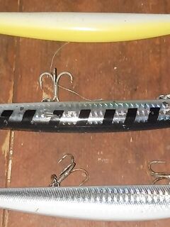 Морская рыбалка на Кипре: барракуда, время и скорость проводки, цвета по свету