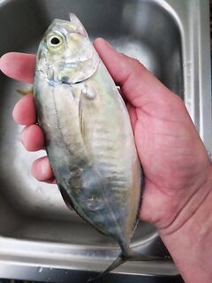 Айя-Напа и Паралимни: где гонял каранксов, что купить в пути и как спасли полотенцем