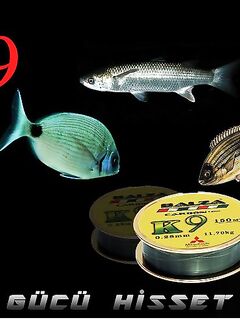 Кипр — длинные шок-лидеры 5–6 м: местный материал против перетирания зубами