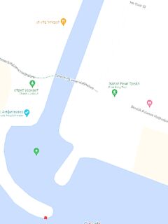 Эйлат, отличить флейту от саргана: широкий плоский нос и январская встреча