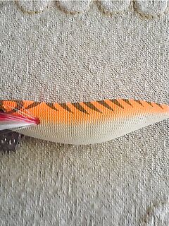 Кипр, буба вертикальная и удлинённая: не только кальмар, но и каракатица