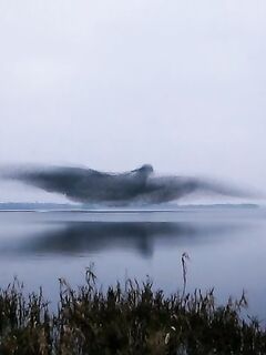 Кипр, кальмары на «бубу» и красивые кадры: вдохновляюсь перед сезоном