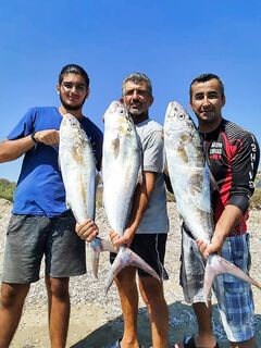 Кипр, коротко: команда ждёт у моря, пора выходить на вечернее окно