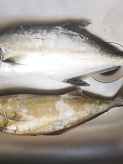 Кипр, час на берегу: рыбы полно, ветер мешал, амбер и лихия для отчёта