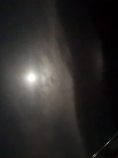 Морская рыбалка на Кипре: растущая луна и приливы — выхожу навёрстывать навыки