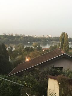 План с Художником на Кипре - ракурс места, где будем убирать шливу