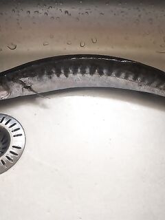 Гроза, одна барракудка и кот Чинарик - морская рыбалка на Кипре с сюрпризами