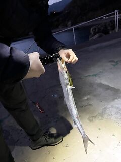 Вот такая бара на Кипре - размер и место, уточняем по точке