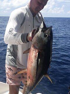 Сейшелы, декабрь: лагун-48, бюджет 120 тыс и маршрут Берд—Денис—свалы