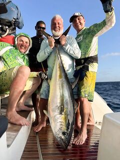 Сейшелы — поездка в октябре 2024 и набор на март/ноябрь 2025