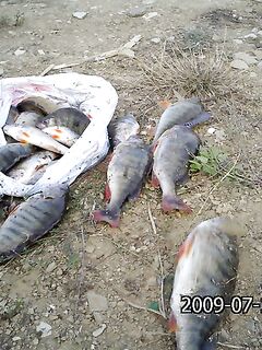 Болгария, не море: Порой по окуню, дальше — скалы, Тунджа и жара