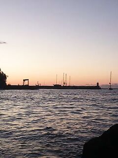 Приморско, устье Дяволска: трава мешает ставке, горбыль со дна и луфарь на бомбарду