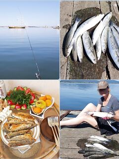 Созополь, порт Марина: кефалевая оснастка, червь и клев с 5:30 до 7:30