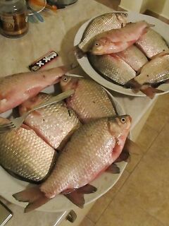 Яз.Порой и озеро Мандра, Болгария — ветер, ил по колено и мерный карась