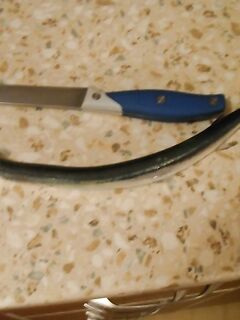 Болгария, «для затравочки»: первый визуальный отчёт по месту