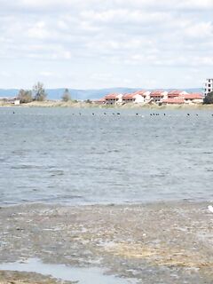 Поморие: вонючий лиман без рыбы — лучше ловить на косе и волноломе