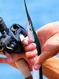 Ахтополь, температура воды и виды: прогноз по сезону на Чёрном море