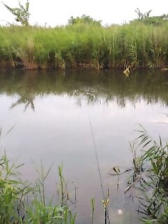 Болгария, пруды: альтернатива морю для короткой сессии с поплавком