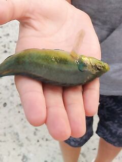 Болгария, на море: короткая заметка о выходе к воде