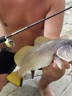 Дивноморск, сентябрь 2014: рокфишинг на «Голубых далях» и у «Факела»