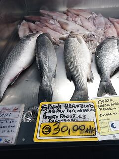 Рыбалка на Сардинии в ноябре: бомбарда, порты и сарган с волнорезов