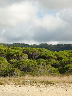 Италия — в этом году не сложилось, но тоска по морю осталась