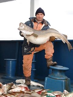 Норвежские шхеры: собираю свежие советы по снастям и точкам