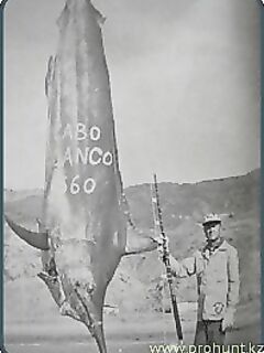 Перу, Тумбес: тунец, махи-махі и тяжёлый троллинг в холодном Хумбольде