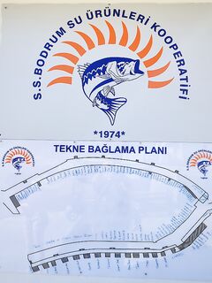 Торба и севернее: острова, рыбные фермы и сезон зимой, глубины 15 м по карасю