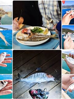 Торба, пирс 4–5 м: лаврак на виду, мелочь клюет всегда, кефаль у кафешки на отходах