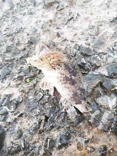 Сицилия — пометка без деталей для продолжения отчета по берегу