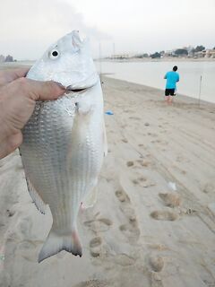 Trabucco Air Blade 3000: рабочая катушка на годы — делюсь кратким опытом