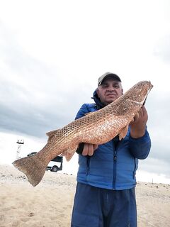 Азовское море: пеленгас 7,8 — товарищ взял на леску 0,22, везение решает