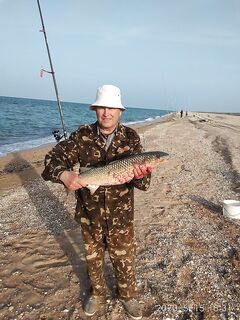 Пелика 4 кг: отмечаю улов товарища