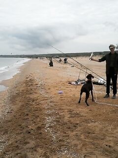 Просьба к коллеге: фото оснастки с грузом, локация Казантип, май