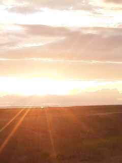 Арабатка прямо сейчас: береговая отметка