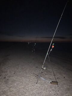 Ночная рыбалка: меняю подачу и шум на берегу