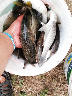 Анталийское побережье, "пивной сад": поплавок, отвес и сорвавшаяся торпеда перед грозой