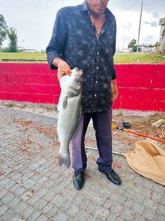 Анталийское побережье, корка и лёгкий спин: облов поплавочников и сибас у местного