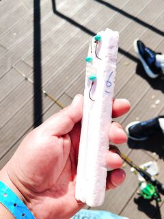 Анталийское побережье, донка у притока: змей-голова, сазан и сом, тесто от "бабушки"