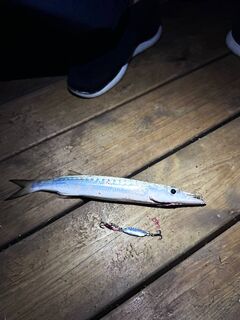 Анталийское побережье: прощальный день - баракудка на воблер и ещё одна на пилькер