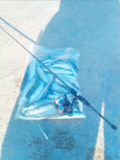 Ультралайт на море: полиэстер 0.07 мм 1.1 lb, бомбарды 2–3 г и безбородые