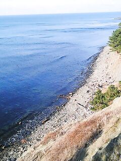 Выбор палок без уточнений: нужна цель и условия ловли