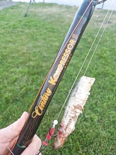 Удилища для морской рыбалки: по насадке - мелкая рыбка, куски мяса, морской червь