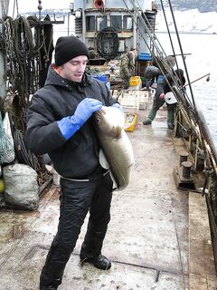 Балансиры и себестоимость: расходники должны быть недорогими — вывод