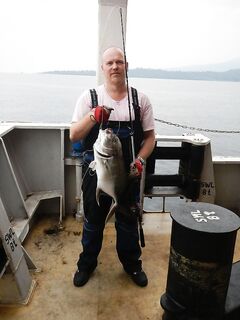 Stinger Power Jig: бюджет под тяжёлые веса, тюнинг первого кольца